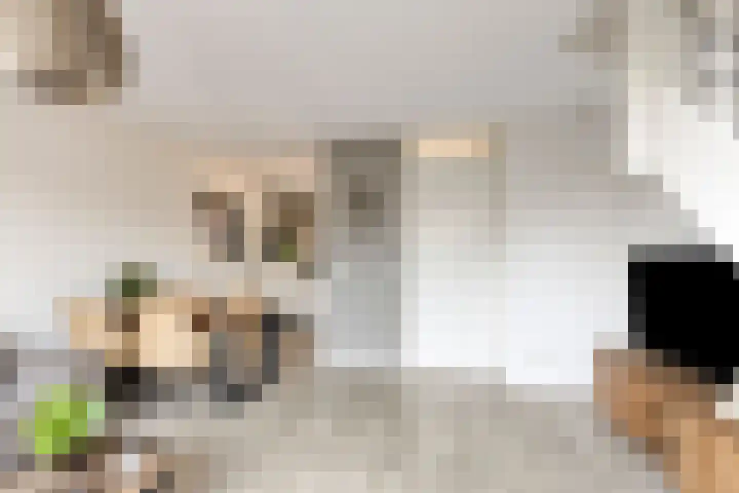 Meerkoetstraat 78 Duiven thumbnail 11