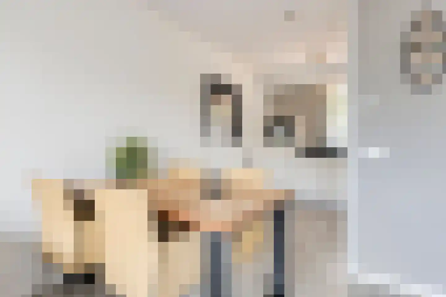 Meerkoetstraat 78 Duiven thumbnail 12