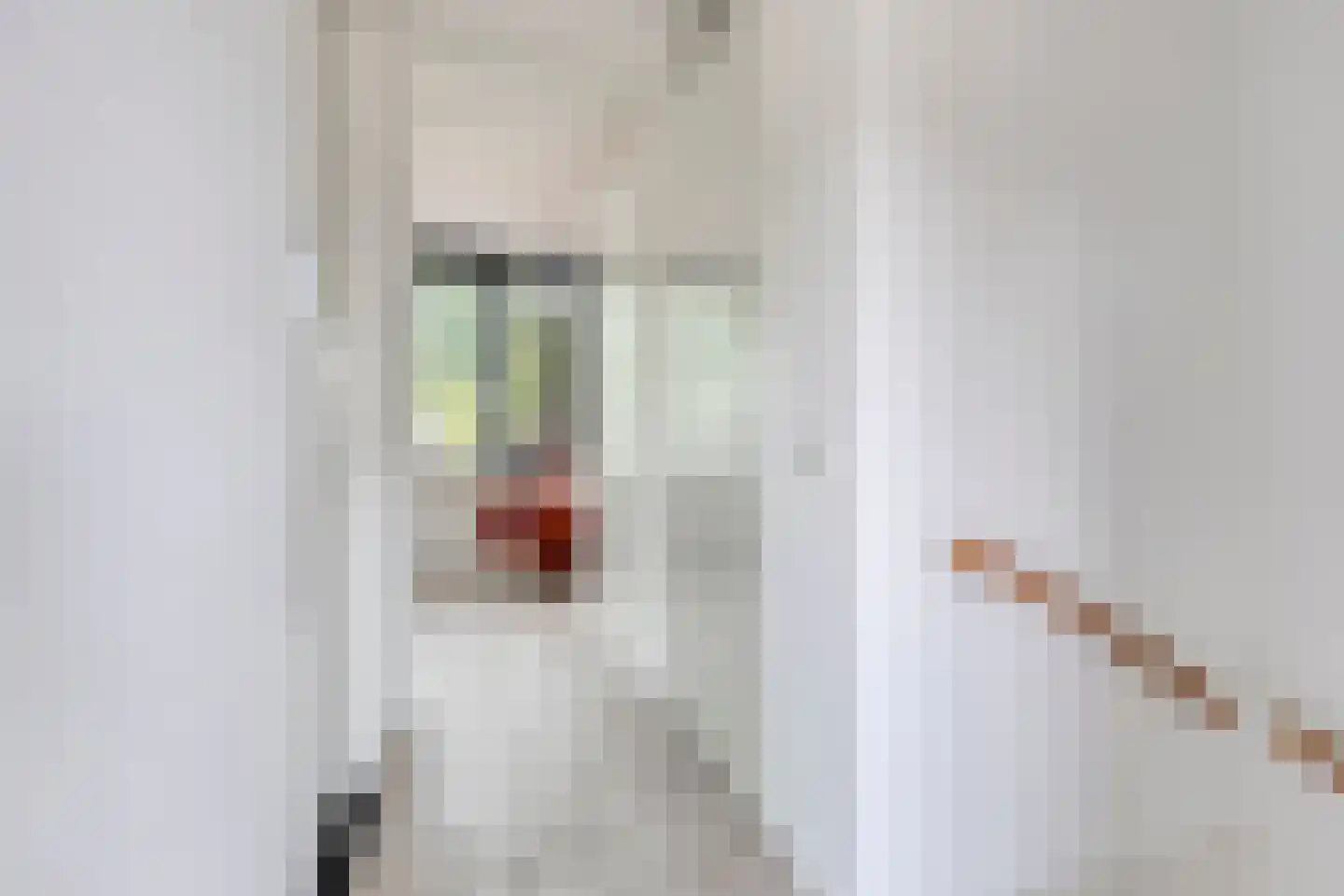 Meerkoetstraat 78 Duiven thumbnail 17