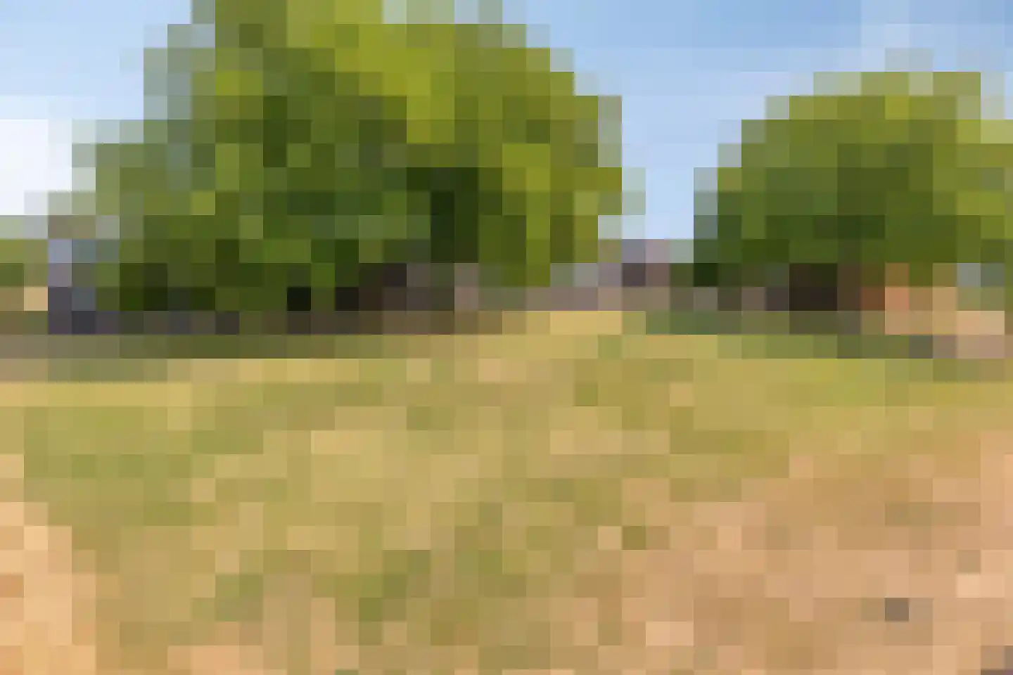 Meerkoetstraat 78 Duiven thumbnail 36