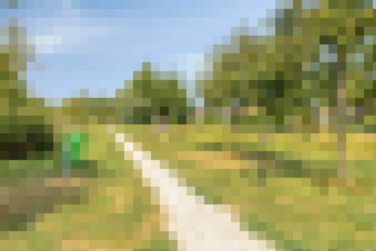Meerkoetstraat 78 Duiven thumbnail 38