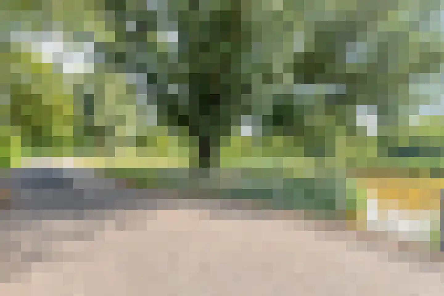 Meerkoetstraat 78 Duiven thumbnail 39