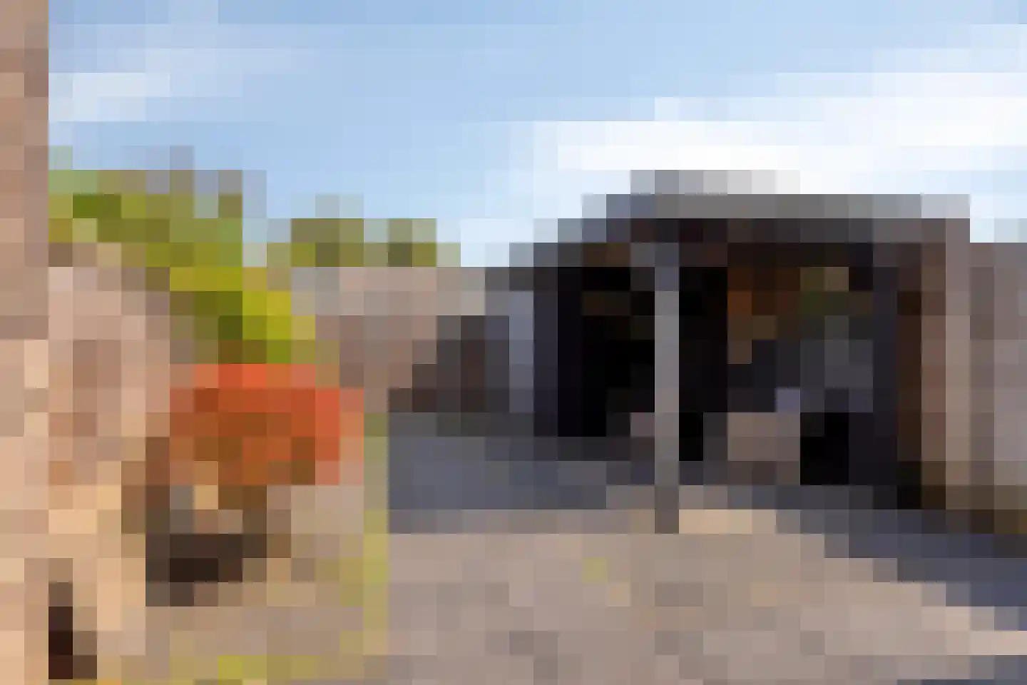 Meerkoetstraat 78 Duiven thumbnail 4