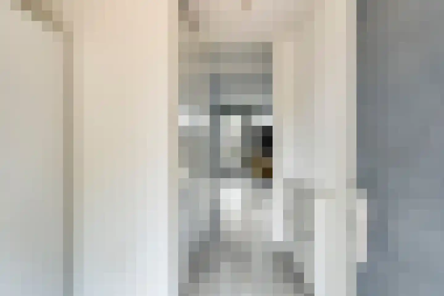 Meerkoetstraat 78 Duiven thumbnail 8