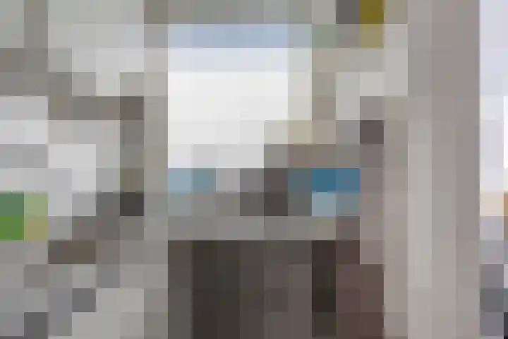 Meerkoetstraat 81 Rotterdam thumbnail 6