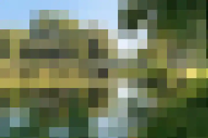 Meerkoetstraat 89 Zwijndrecht thumbnail 38
