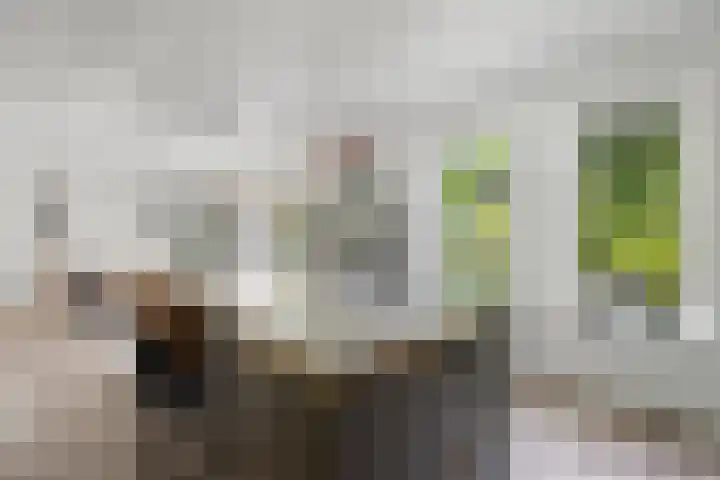 Meerkoetwaard 7 Odijk thumbnail 16