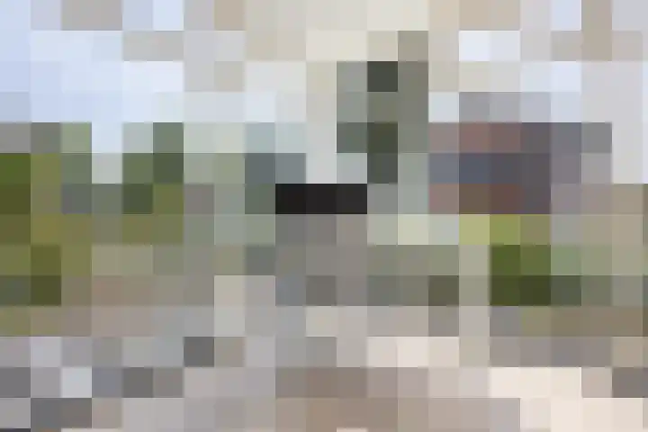 Meerkoetwaard 7 Odijk thumbnail 20