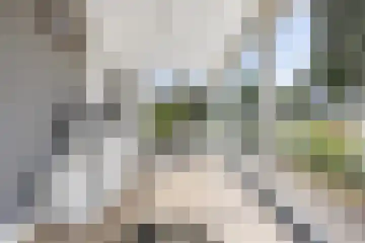 Meerkoetwaard 7 Odijk thumbnail 22