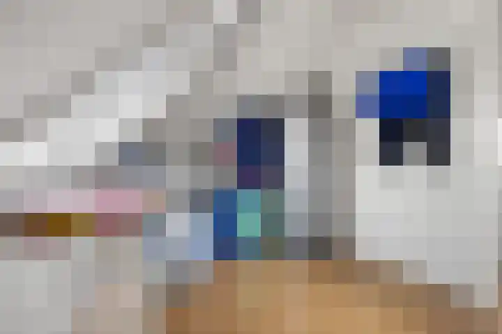Meerkoetwaard 7 Odijk thumbnail 42