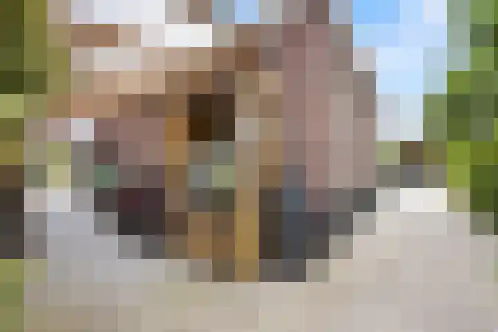 Meerkoetwaard 7 Odijk thumbnail 52