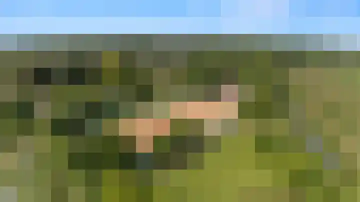 Meerkoetwaard 7 Odijk thumbnail 60