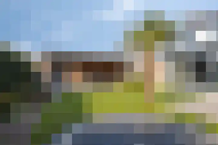 Meerkoetweg 10 Heerenveen thumbnail 30