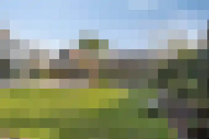 Meerkoetweg 10 Heerenveen thumbnail 31