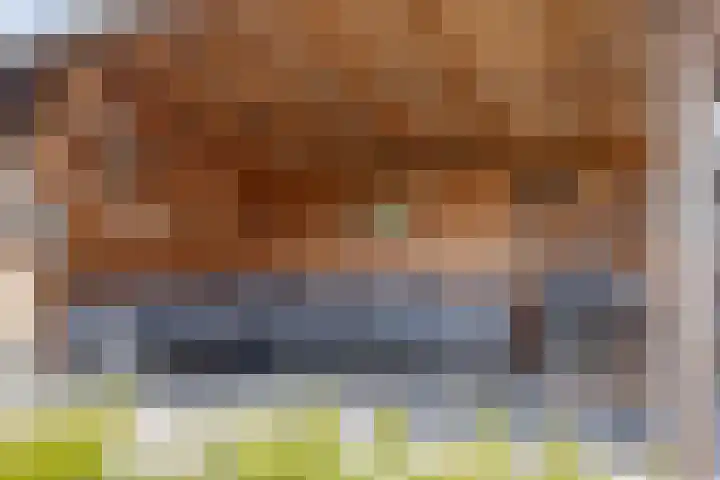 Meerkoetweg 10 Heerenveen thumbnail 33