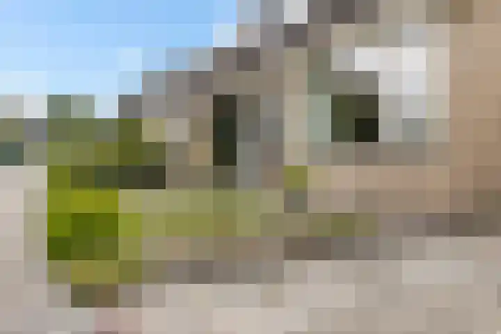 Meerkoetweg 2 Heerenveen thumbnail 10