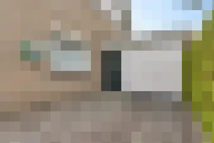 Meerkoetweg 2 Heerenveen thumbnail 11