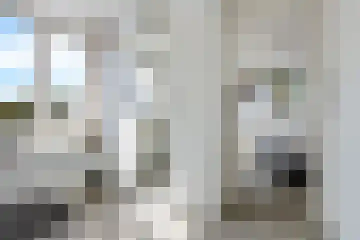 Meerkoetweg 2 Heerenveen thumbnail 37