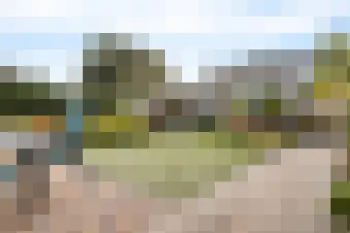Meerkoetweg 2 Heerenveen thumbnail 41