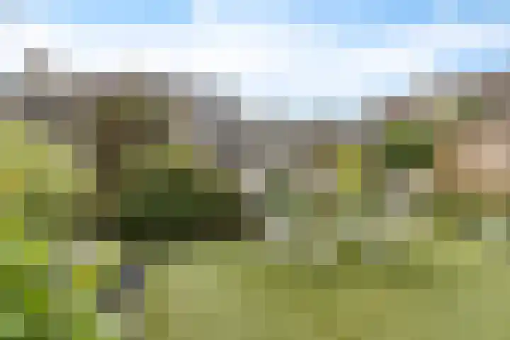 Meerkoetweg 2 Heerenveen thumbnail 43