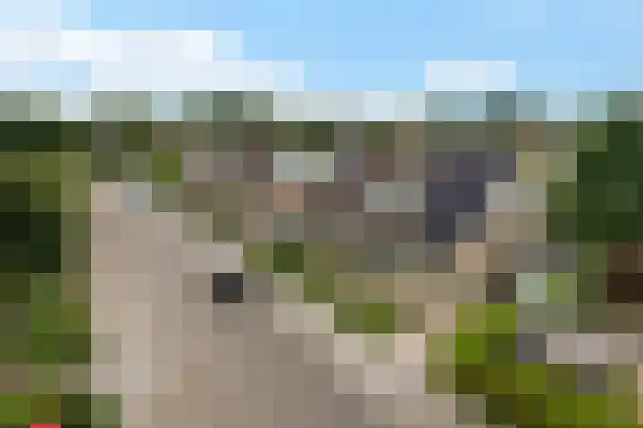Meerkoetweg 2 Heerenveen thumbnail 5
