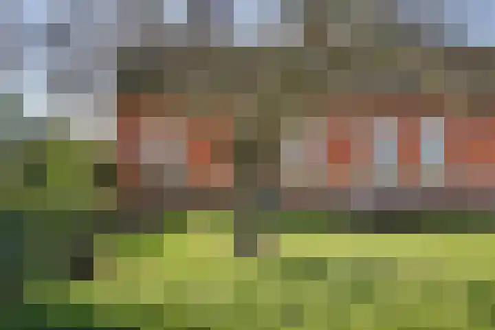 Meerkoetweg 2 's-Heer Arendskerke thumbnail 30