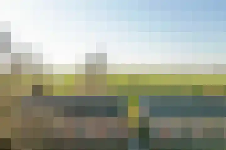 Meerkoetweg 2 's-Heer Arendskerke thumbnail 31