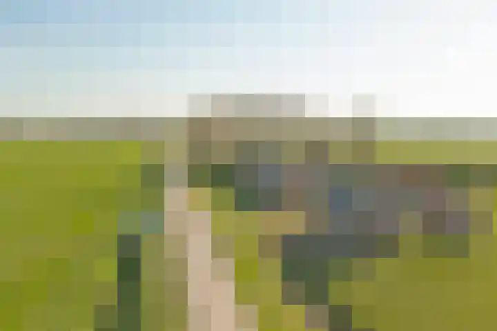 Meerkoetweg 2 's-Heer Arendskerke thumbnail 34