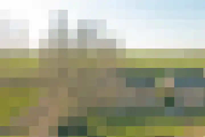 Meerkoetweg 2 's-Heer Arendskerke thumbnail 35