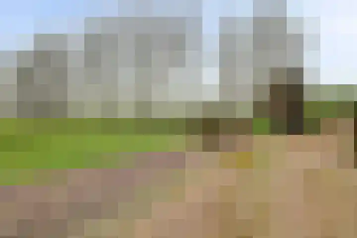 Meerkoetweg 2 's-Heer Arendskerke thumbnail 36