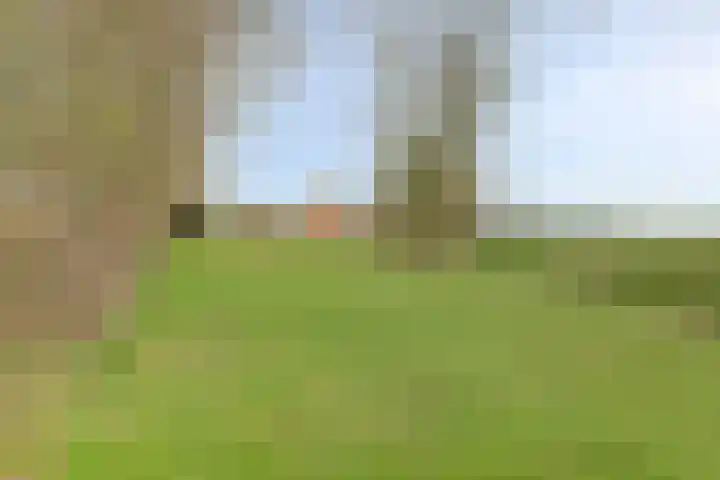 Meerkoetweg 2 's-Heer Arendskerke thumbnail 37