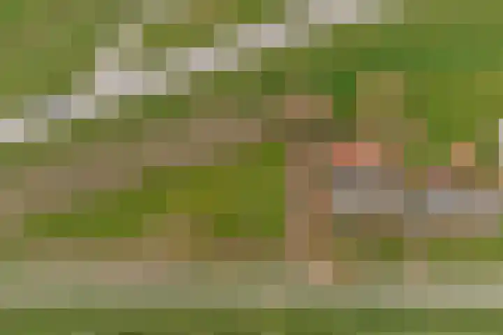 Meerkoetweg 2 's-Heer Arendskerke thumbnail 38