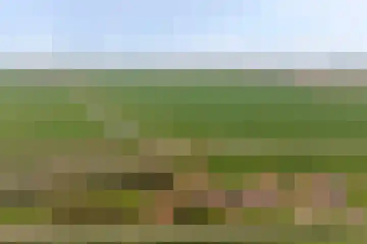 Meerkoetweg 2 's-Heer Arendskerke thumbnail 39