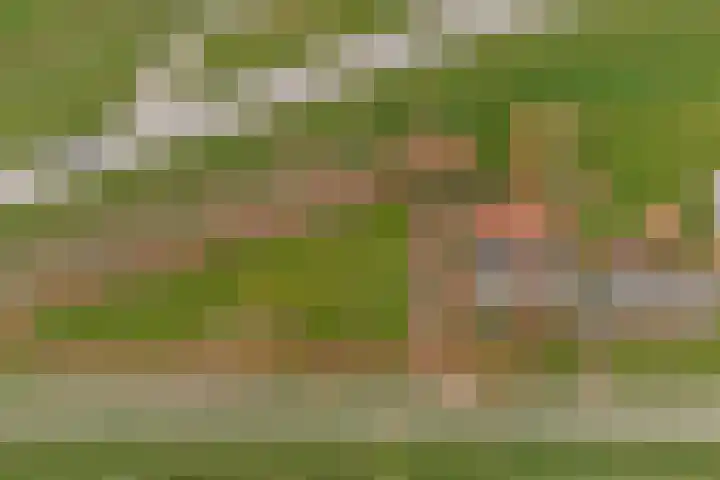 Meerkoetweg 2 's-Heer Arendskerke thumbnail 4