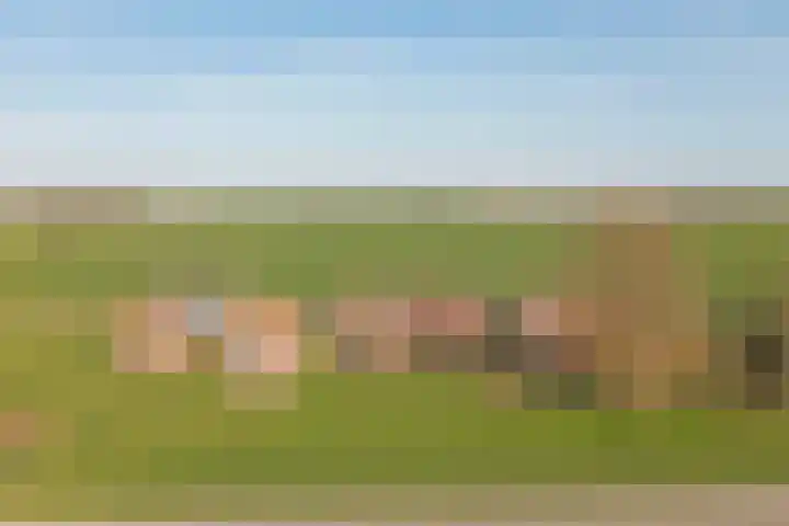 Meerkoetweg 2 's-Heer Arendskerke thumbnail 40
