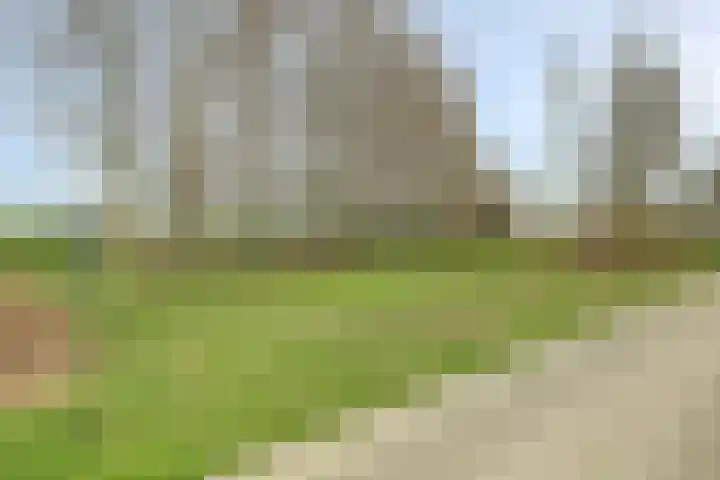 Meerkoetweg 2 's-Heer Arendskerke thumbnail 41