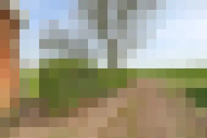 Meerkoetweg 2 's-Heer Arendskerke thumbnail 42