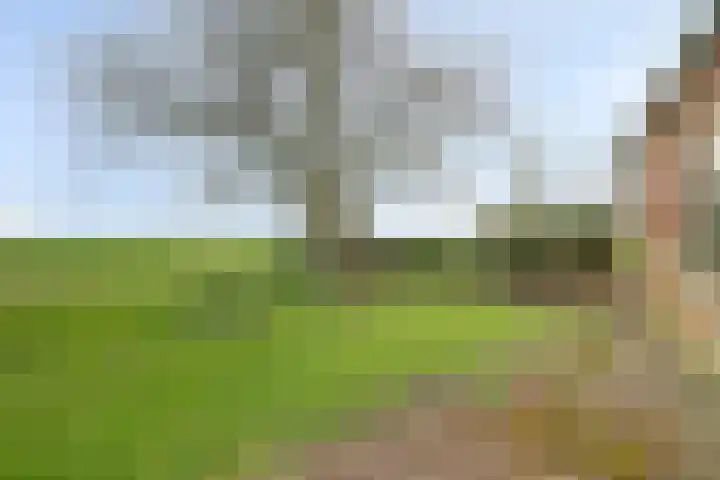 Meerkoetweg 2 's-Heer Arendskerke thumbnail 43