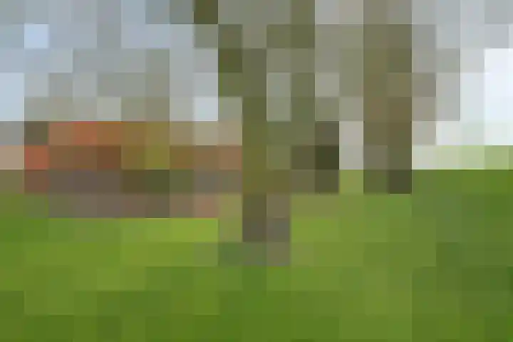 Meerkoetweg 2 's-Heer Arendskerke thumbnail 44