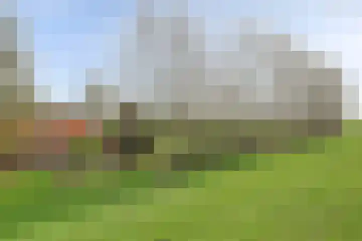 Meerkoetweg 2 's-Heer Arendskerke thumbnail 45
