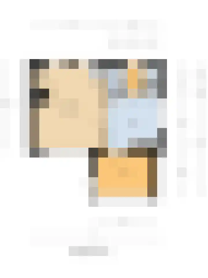 Meerkoetweg 2 's-Heer Arendskerke thumbnail 47