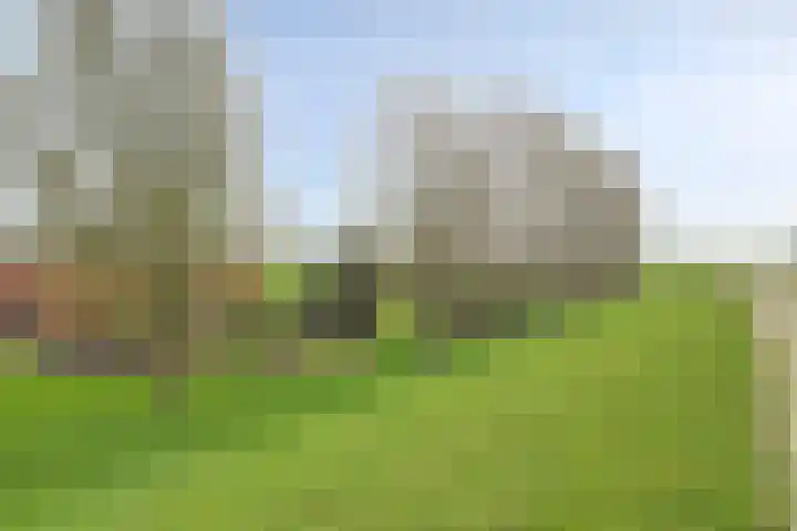 Meerkoetweg 2 's-Heer Arendskerke thumbnail 5