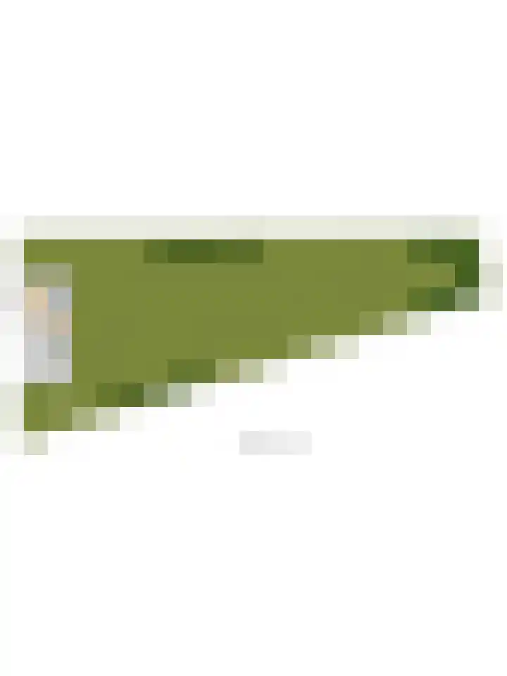 Meerkoetweg 2 's-Heer Arendskerke thumbnail 51