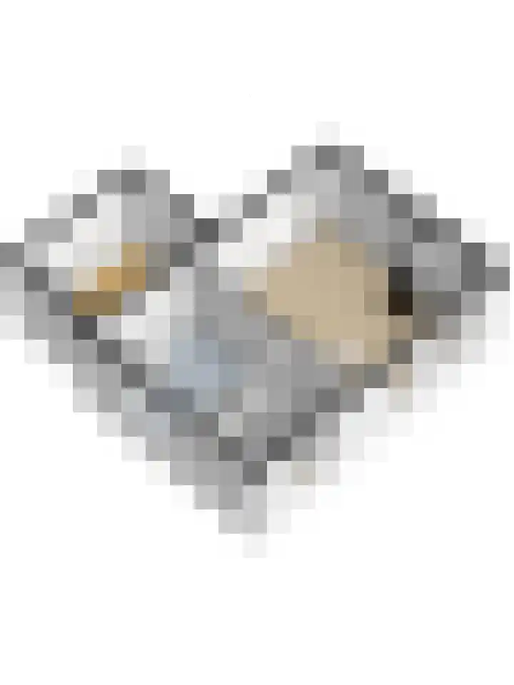 Meerkoetweg 2 's-Heer Arendskerke thumbnail 52