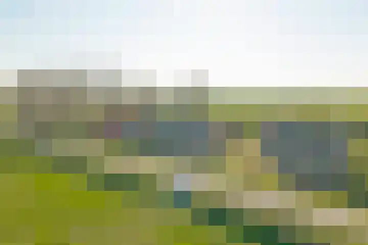 Meerkoetweg 2 's-Heer Arendskerke thumbnail 6