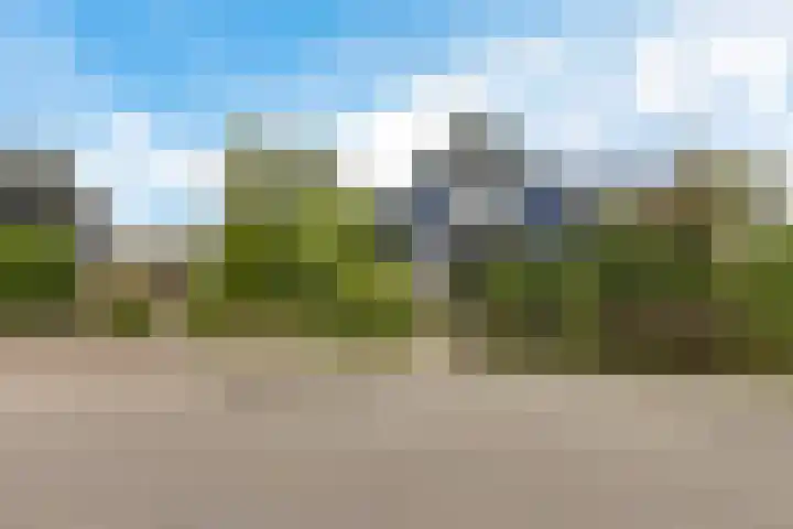 Meerkoetweg 29 Heerenveen thumbnail 48
