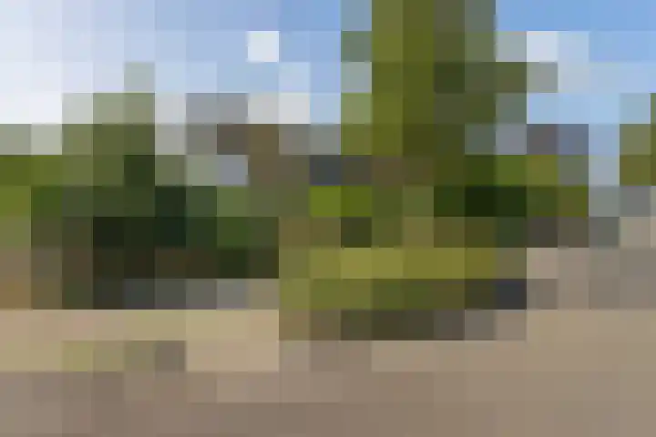 Meerkoetweg 29 Heerenveen thumbnail 51