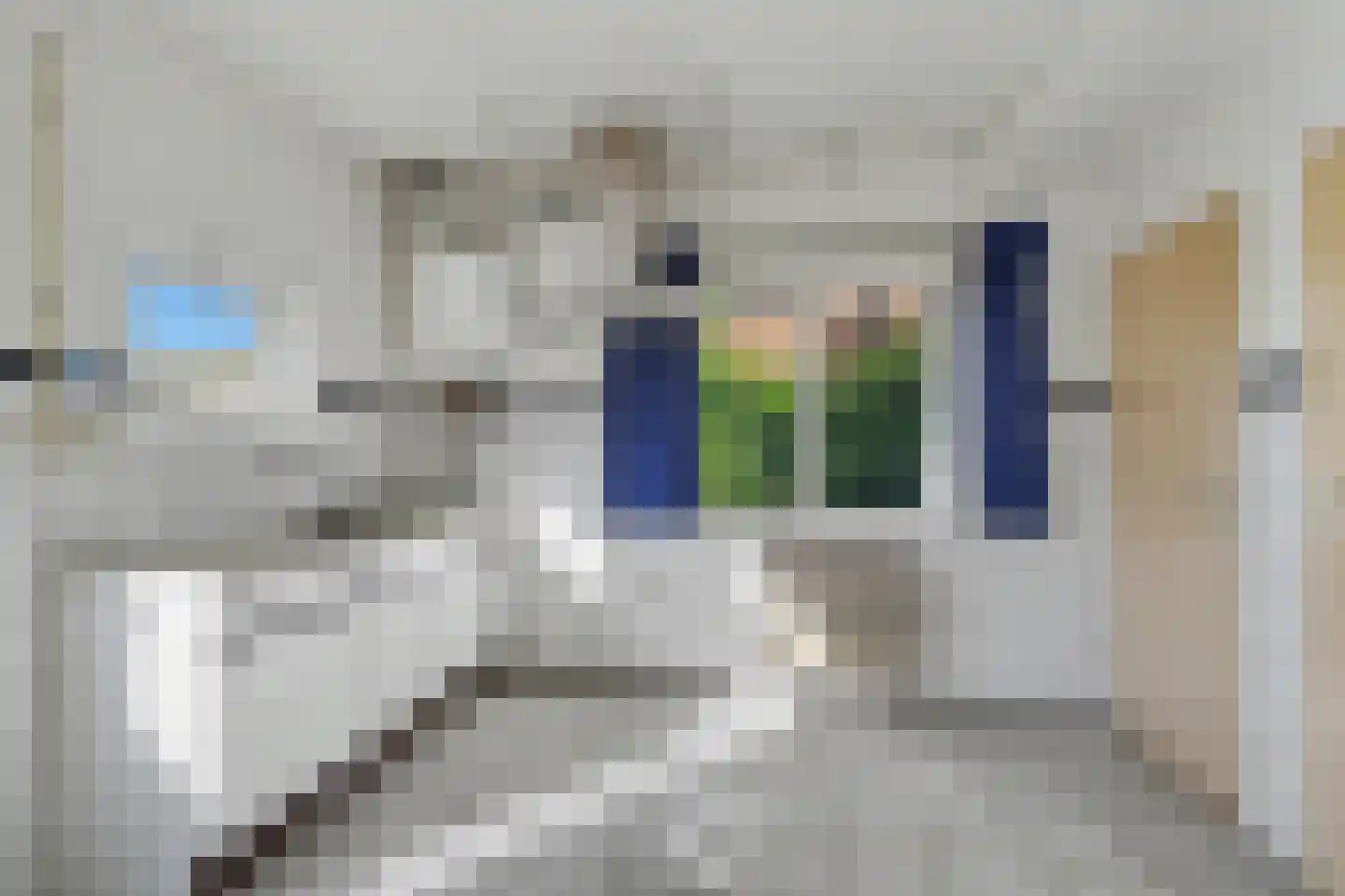 Meerkoetweg 4 's-Heer Arendskerke thumbnail 10