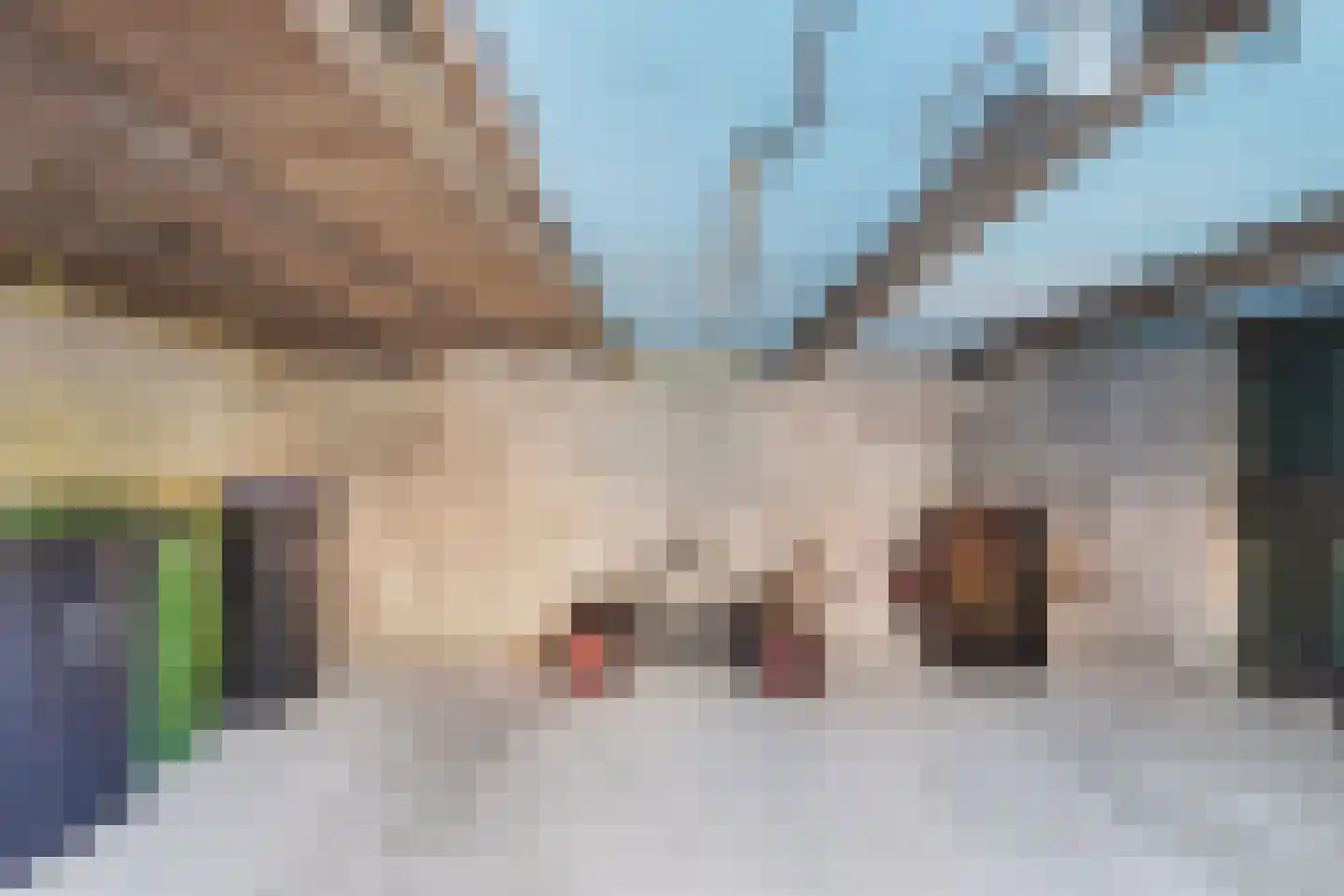 Meerkoetweg 4 's-Heer Arendskerke thumbnail 22