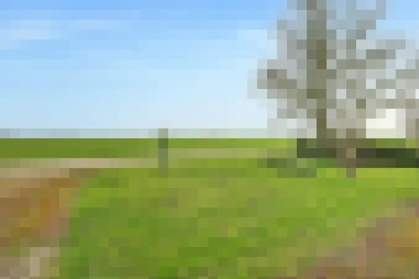 Meerkoetweg 4 's-Heer Arendskerke thumbnail 27